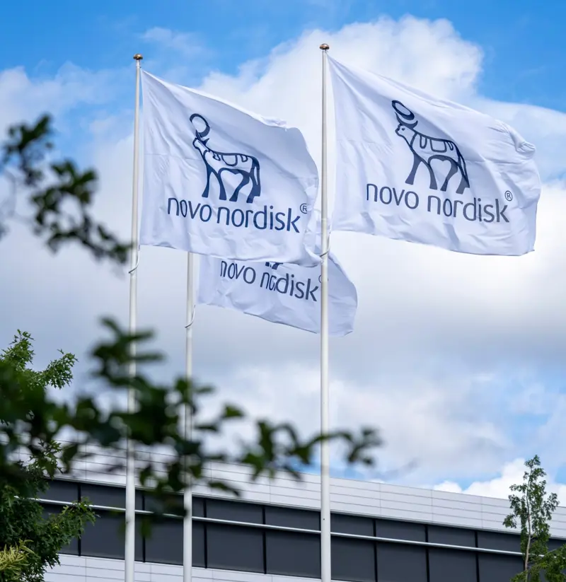 Billede af flag med Novo Nordisks logo